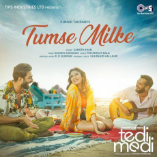 Tumse Milke Tedi Medi Tumse Milke Tedi Medi